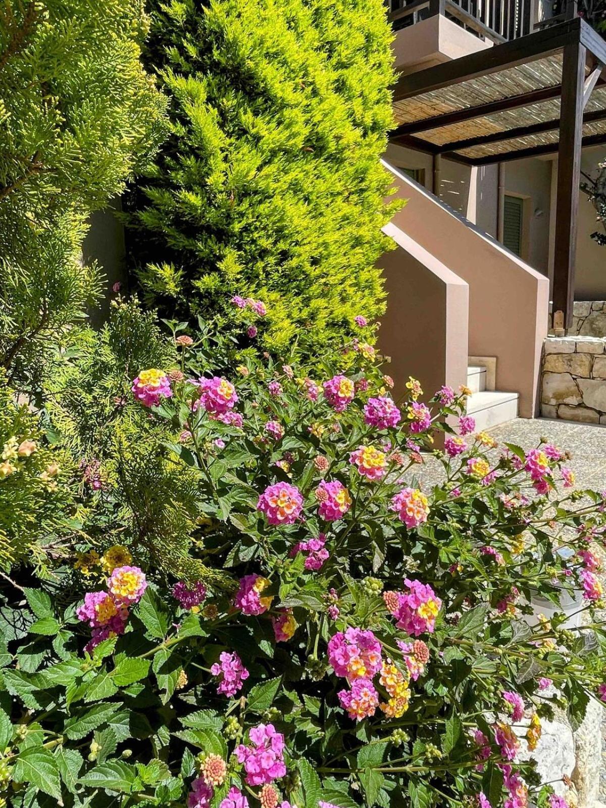 Annamaria Sea Side View Studio- 25M From The Beac Plakias Zewnętrze zdjęcie